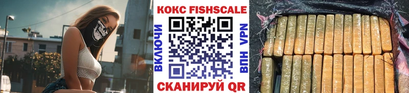 наркота  Снежногорск  COCAIN FishScale 