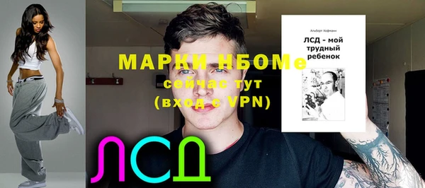 бошки Алексин