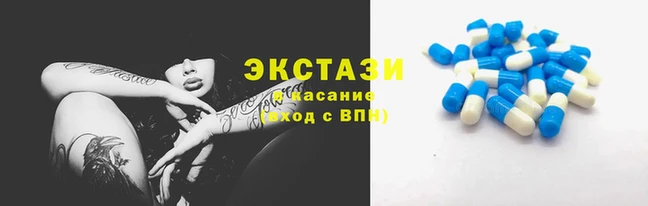 шишки Аркадак