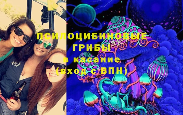 бошки Алексин