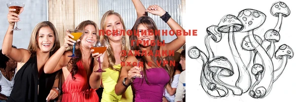 ГАЛЛЮЦИНОГЕННЫЕ ГРИБЫ Алзамай