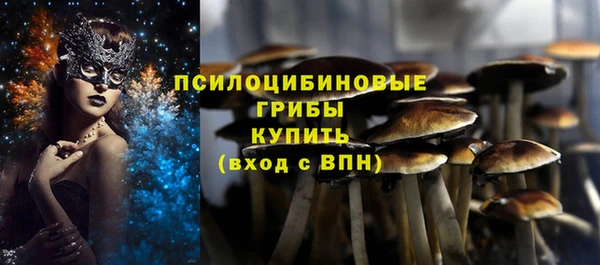 ГАЛЛЮЦИНОГЕННЫЕ ГРИБЫ Алзамай