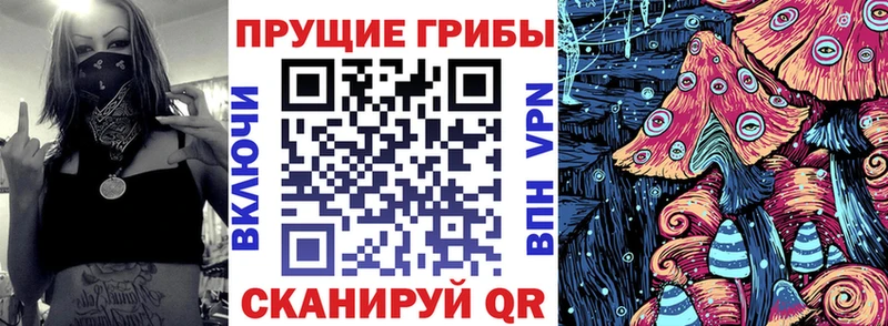 Псилоцибиновые грибы MAGIC MUSHROOMS  ОМГ ОМГ ONION  Снежногорск 